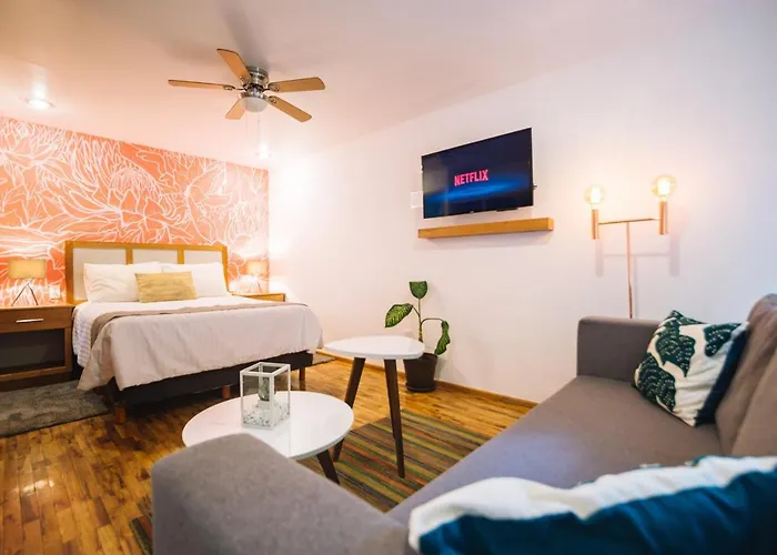 The Gallery Apartment