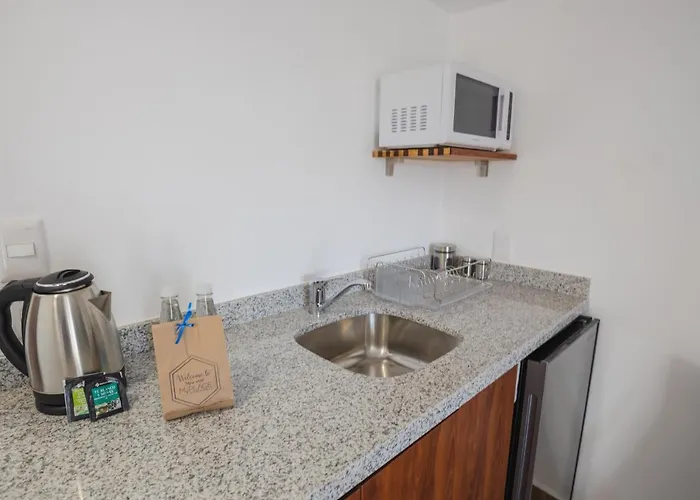 The Gallery Apartment Mexico City