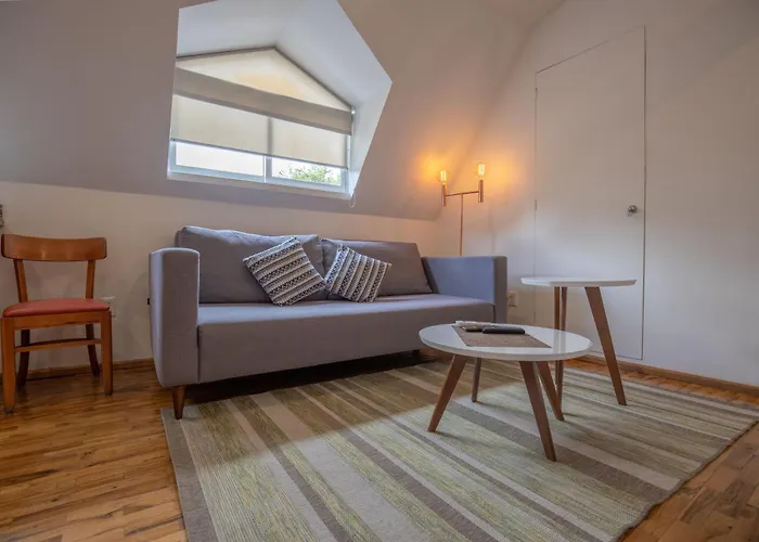 The Gallery Apartment Mexico City